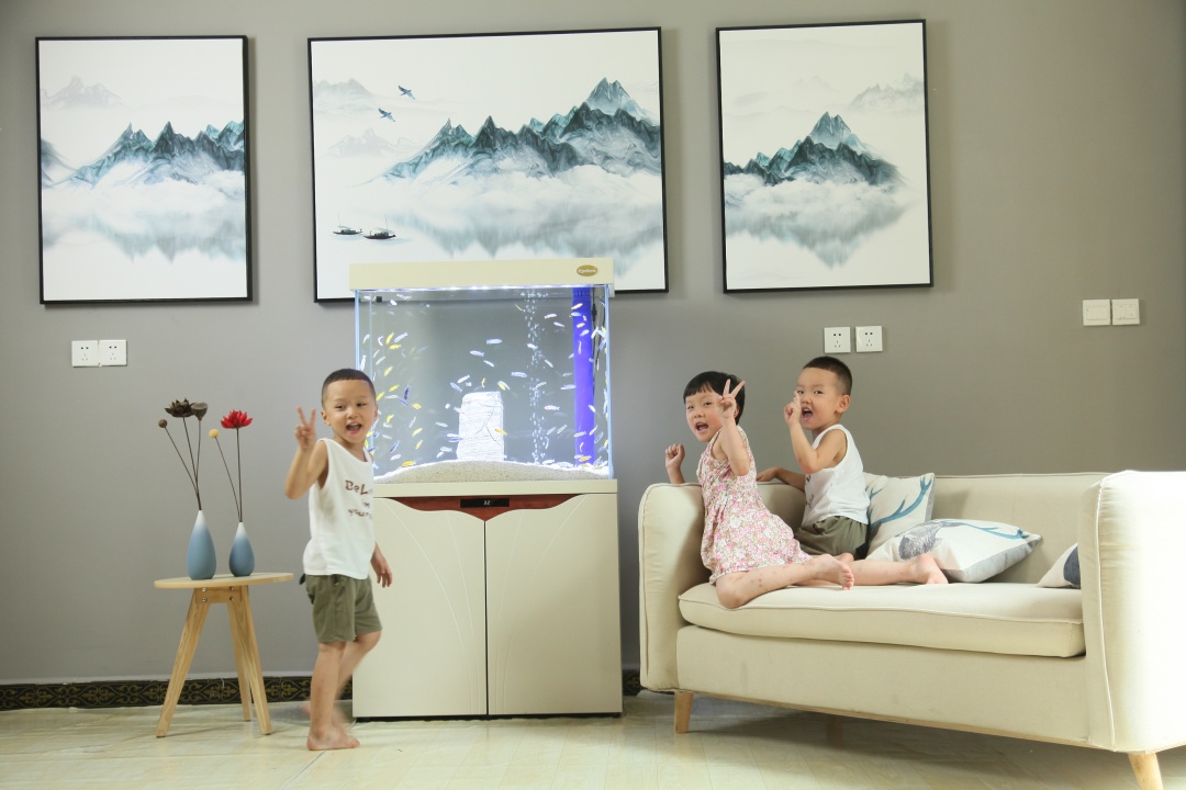 观赏鱼身上长出黑斑是怎么回事,观赏鱼身上起黑斑是怎么回事