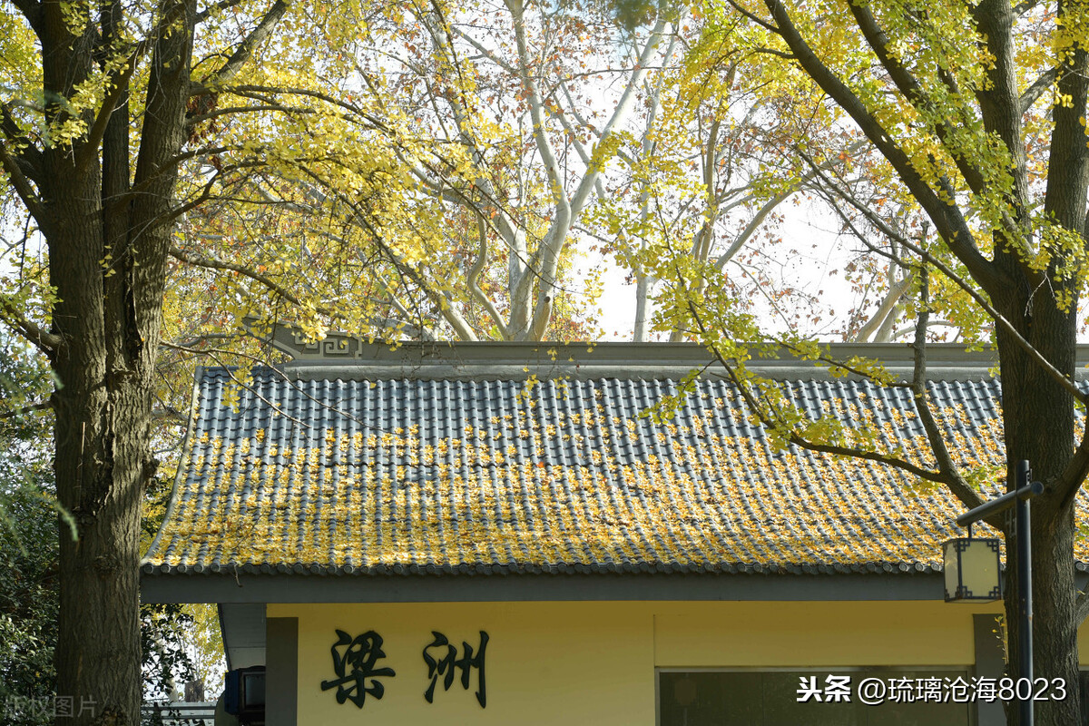 中国军事禁地风景区,玄武湖是中国最大的皇家园林湖