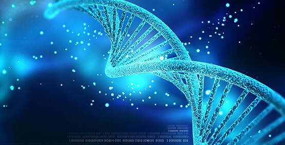 核酸检测原理是抗原抗体检测吗,核酸检测dna还是rna
