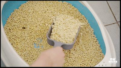 养宠物的哪个瞬间让你最崩溃,养宠物的24个扎心日常