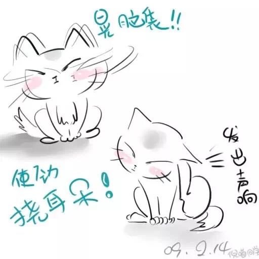 最快解决猫耳螨的办法,你真的了解你家猫咪吗