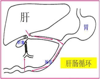 婴儿小黄人怎么处理,家有小黄蚂蚁怎么解决
