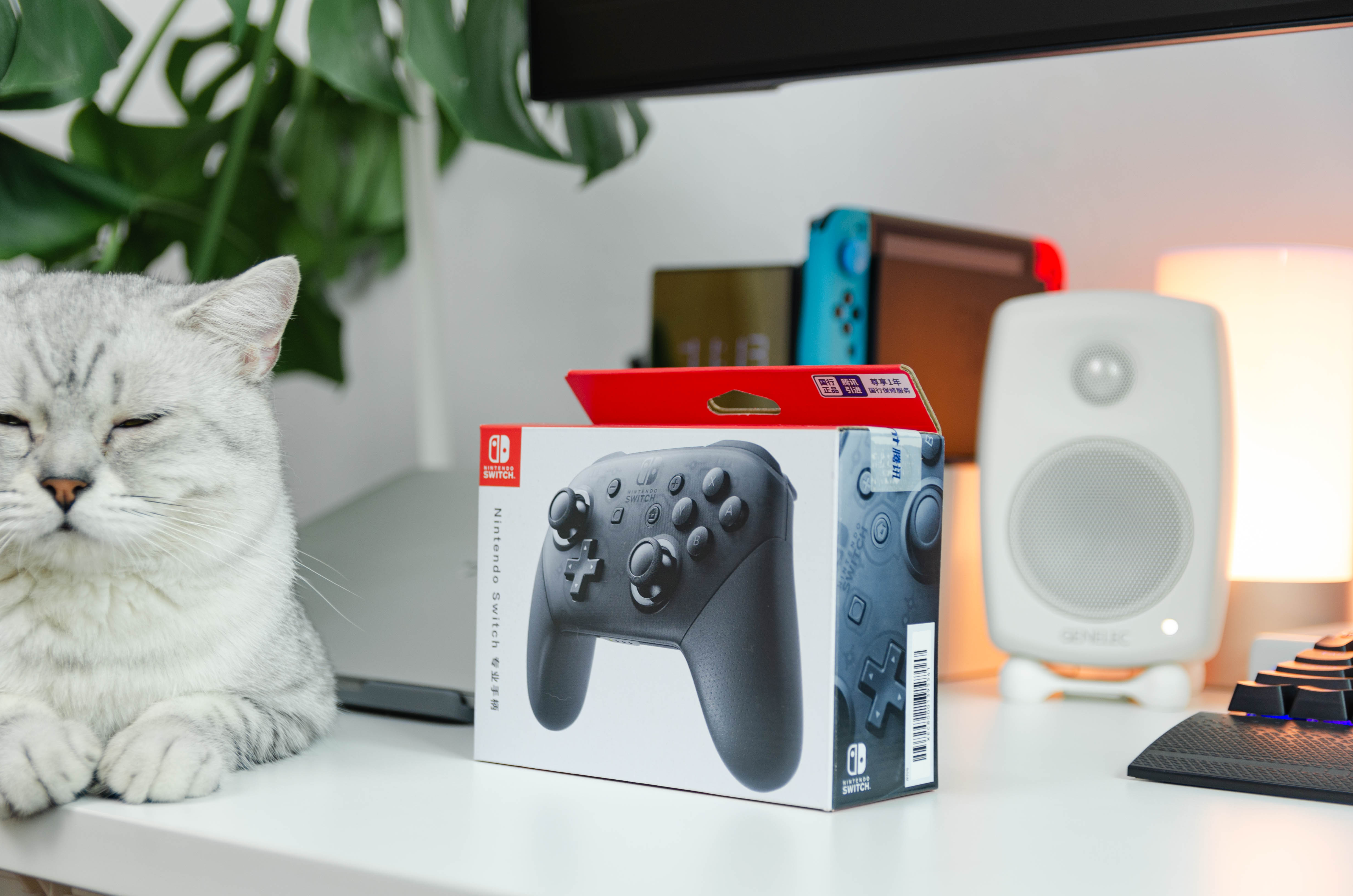 不花冤枉钱,不花冤枉钱性价比高