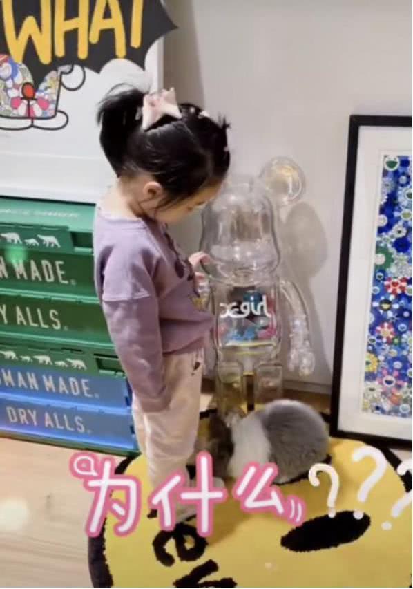 陈赫豪宅手办曝光,陈赫豪宅内部曝光