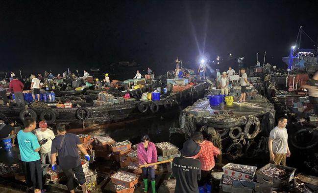 鲍鱼养殖如何赚钱,人工养殖鲍鱼