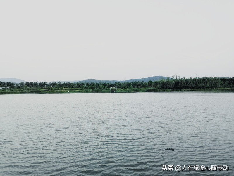 南京面积最大的公园，美不胜收却被游客忽略