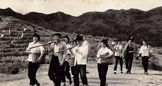 重庆29岁小伙娶53岁老妻,19岁女知青下乡嫁给农村小伙子