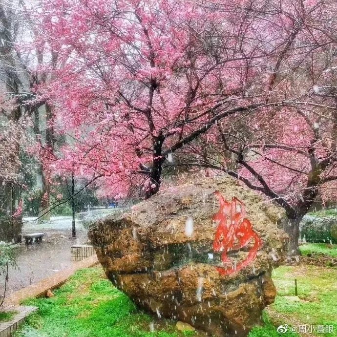 霉霉段子,霉霉的段子