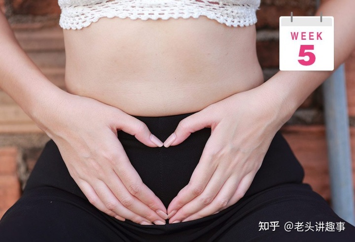 孕1-40周胎儿腹围发育标准,孕1-40周胎儿发育过程图英语