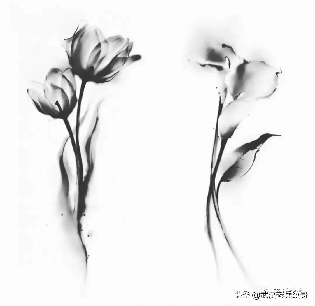 水墨凤凰纹身高清图,水墨纹身图案大全男