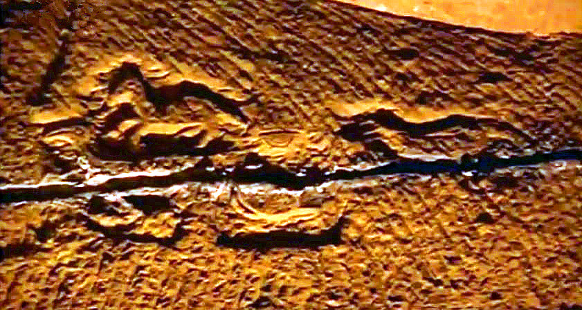 小水塘下藏着巨大山洞,水塘抽干水后专家竟然发现宫殿