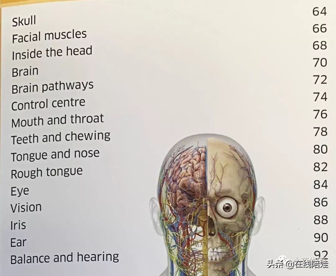 dk知识大百科全套,dk知识大百科书金银版