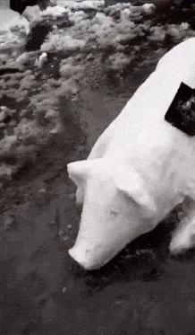 开心一刻gif搞笑动图,搞笑gif段子看起来能量满满