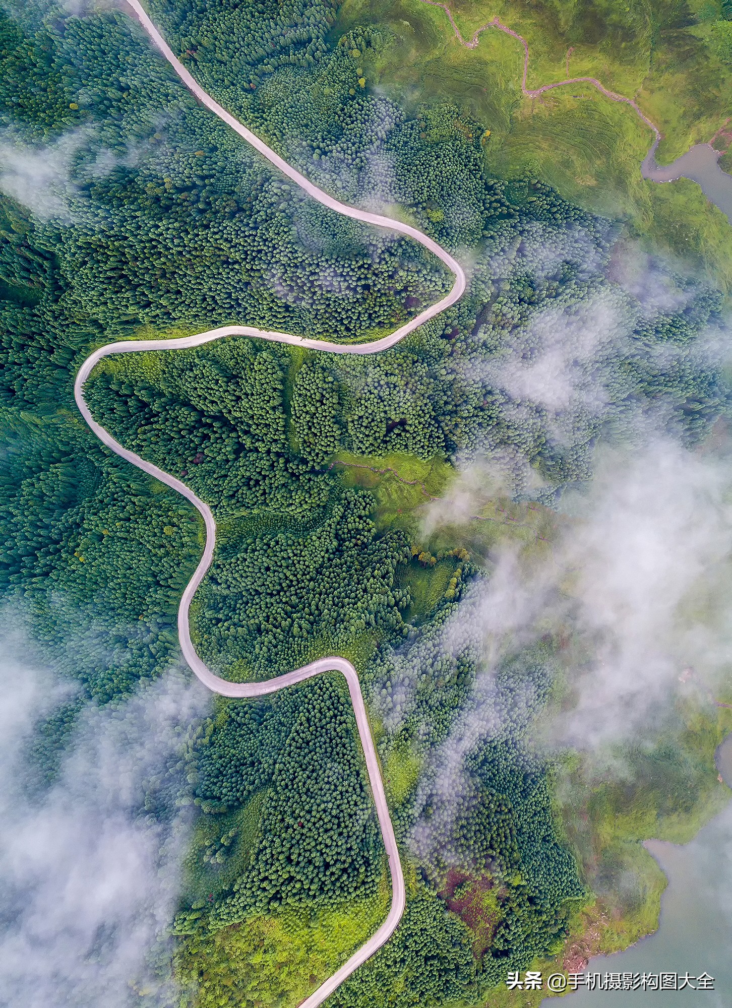 手机摄影42个技巧,手机摄影入门拍出美照超简单