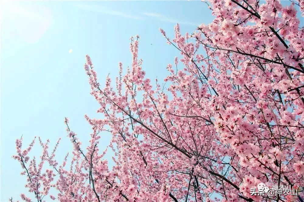 这就是生活第40集刘恺威,这就是街舞3