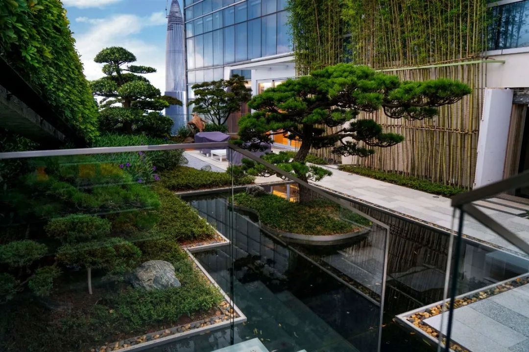 禅意景观中华文化,美学欣赏中国古典园林之美