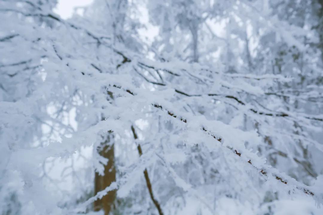 雅安旅行攻略亲子游,雅安市旅行攻略自由行路线