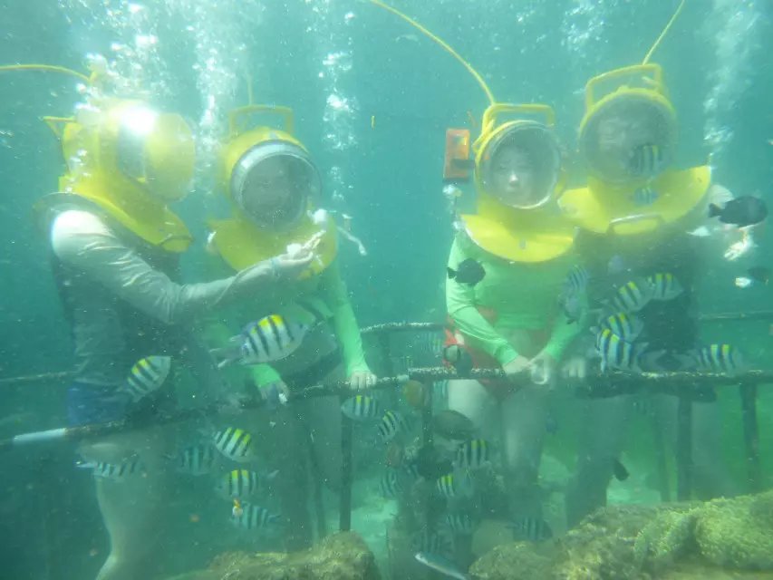 海上飞伞体验感受,亚庇海底漫步有危险吗