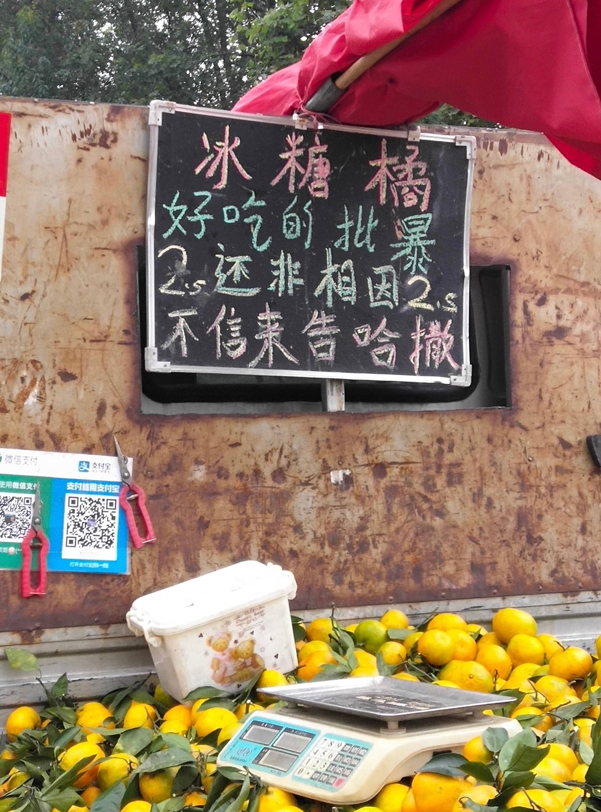 正南齐北是成都话吗,正南齐北的由来