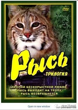 铲屎官必看的9部猫咪电影,铲屎官喵星人