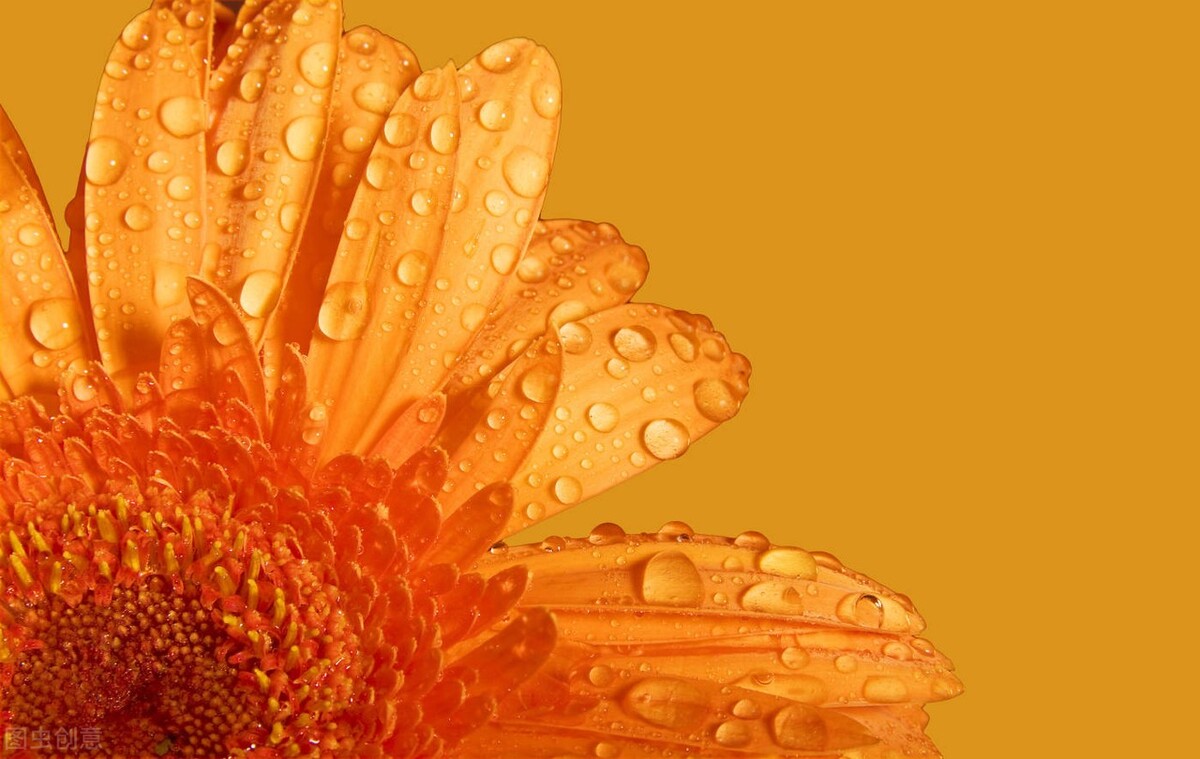 何红雨最新视频,何红雨采访视频