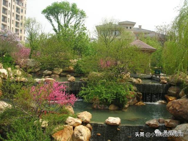 住宅小区植物配置方案,植物种植小技巧一览表图