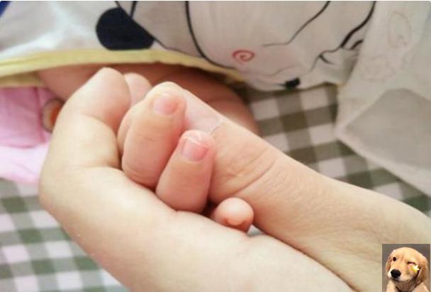 宝宝指甲经常断是缺钙吗,孩子指甲软薄是不是缺钙