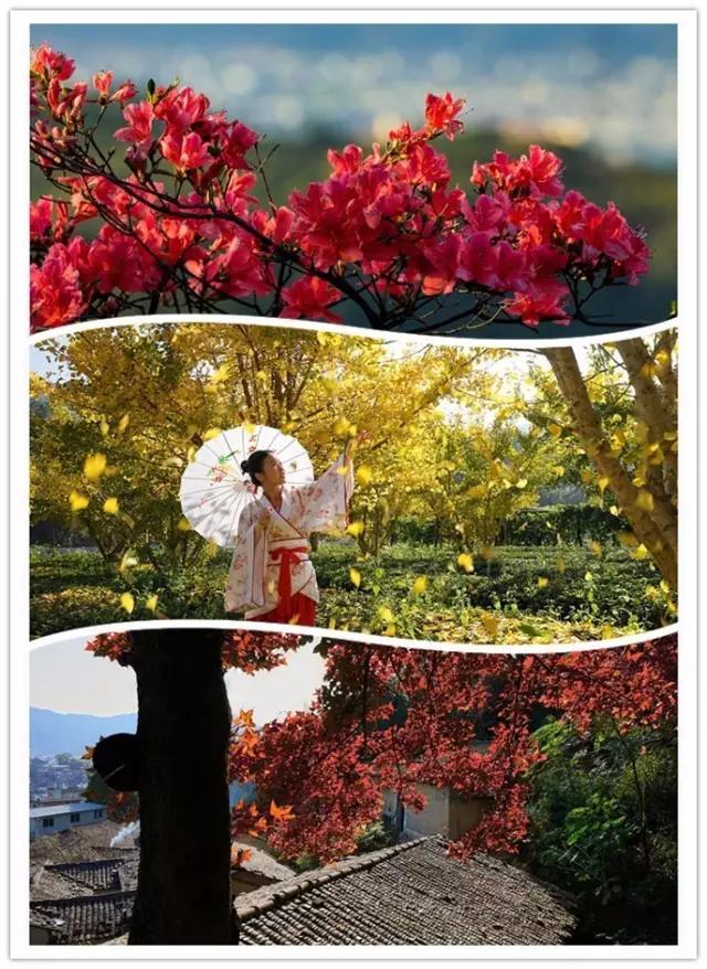 长汀有什么风景,长汀的美景有什么