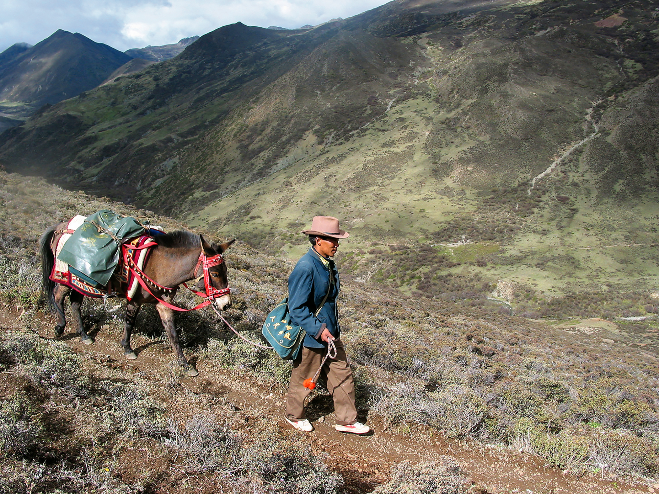 四川老汉露宿深山32年，2005年受邀去欧洲演讲，84个国家代表泪目