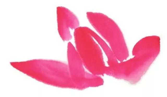 白描荷花100幅画法,荷花的画法白描图