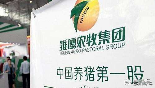 雏鹰退市价格,st雏鹰什么时候退市