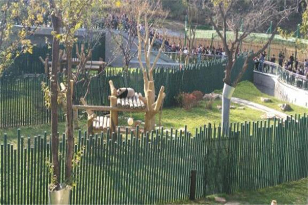 沈阳国家森林动物园游玩攻略,沈阳森林动物园游玩