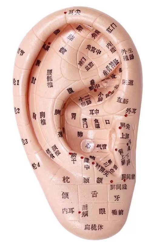 解决肿瘤患者顽固性呃逆优秀案例分享