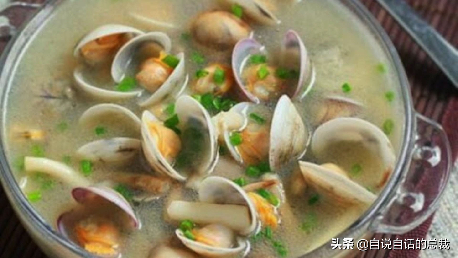 蛤、蚶、蛏、蚝、蚬有什么区别？这是一群美味海怪与人类的故事