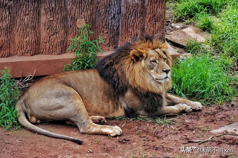 云南旅游自由行攻略昆明大理丽江,云南大理丽江旅游攻略6天5晚