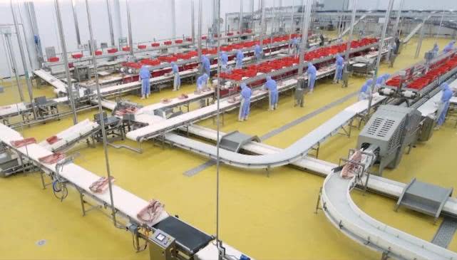 生猪跨省调运地方动检,动检员工