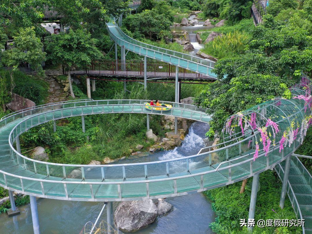 森林和山水,森林公园和森林湖畔