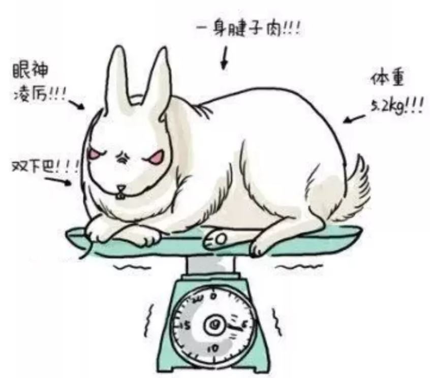 华西附二院肌瘤剔除术住院记——有需要的筒子们这一篇就够用