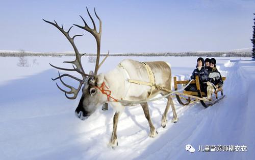 暑假内蒙古旅游攻略亲子,暑假亲子游玩内蒙古5天4夜