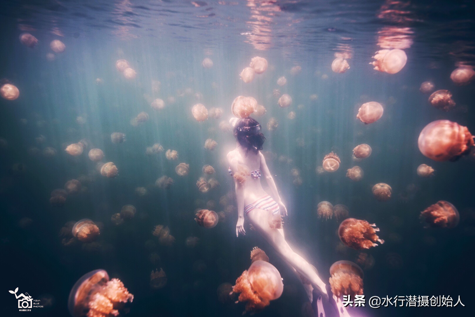 帕劳岛自由行潜水,帕劳水母湖自由潜视频