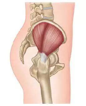 背部肌肉疼痛如何缓解,背部肌肉缩紧该怎么缓解疼痛