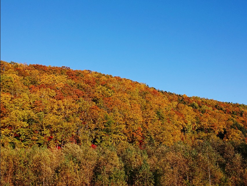 北海道登别到美瑛町需多久,日本北海道美瑛川的雪景