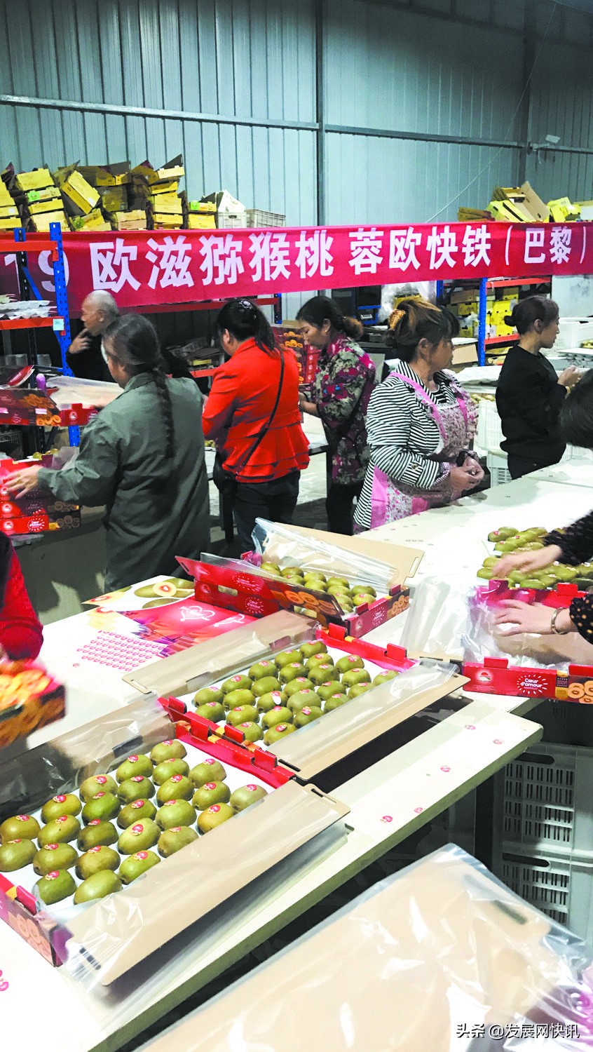 成都营商环境4.0工作,如鱼得水优化营商环境