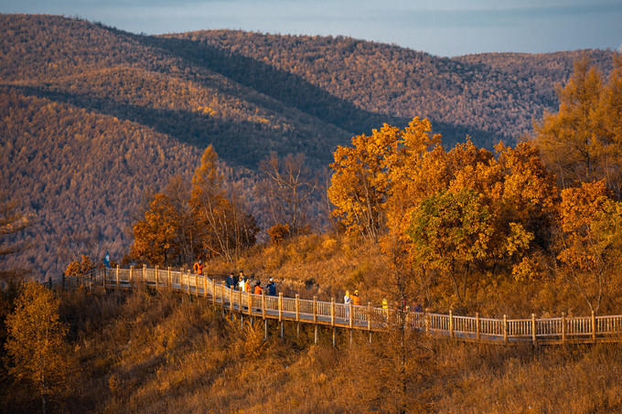 自驾呼伦贝尔|七千里路云和月,写给秋天和自己的故事