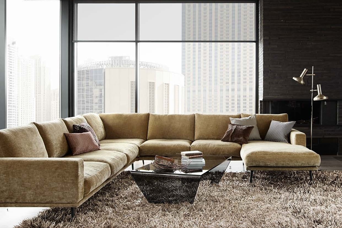 鍖楁缇庡瀹跺眳璁捐,鍥藉瀹跺眳缇庡