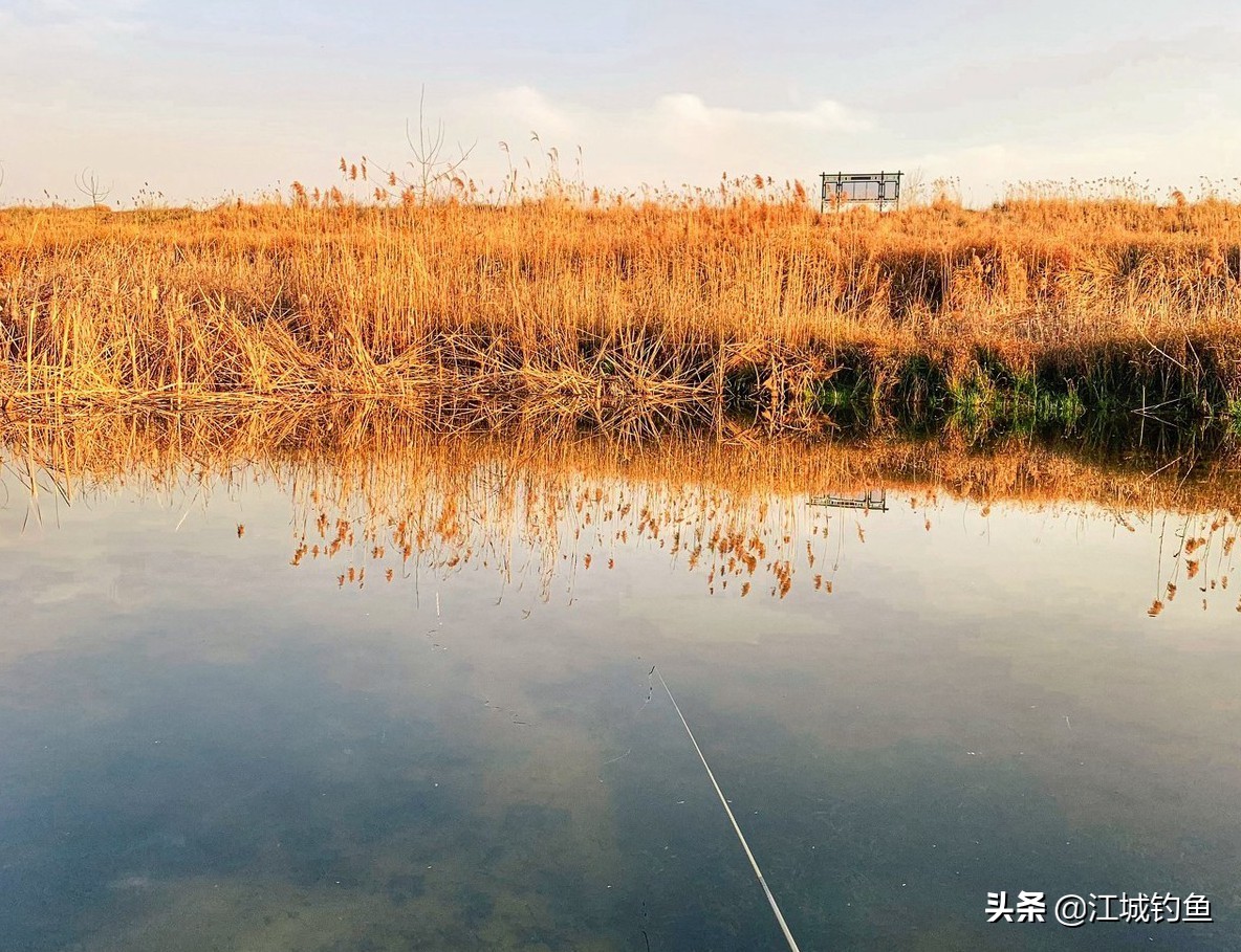 北方淡水鳊鱼怎么钓的,鳊鱼什么季节可以钓