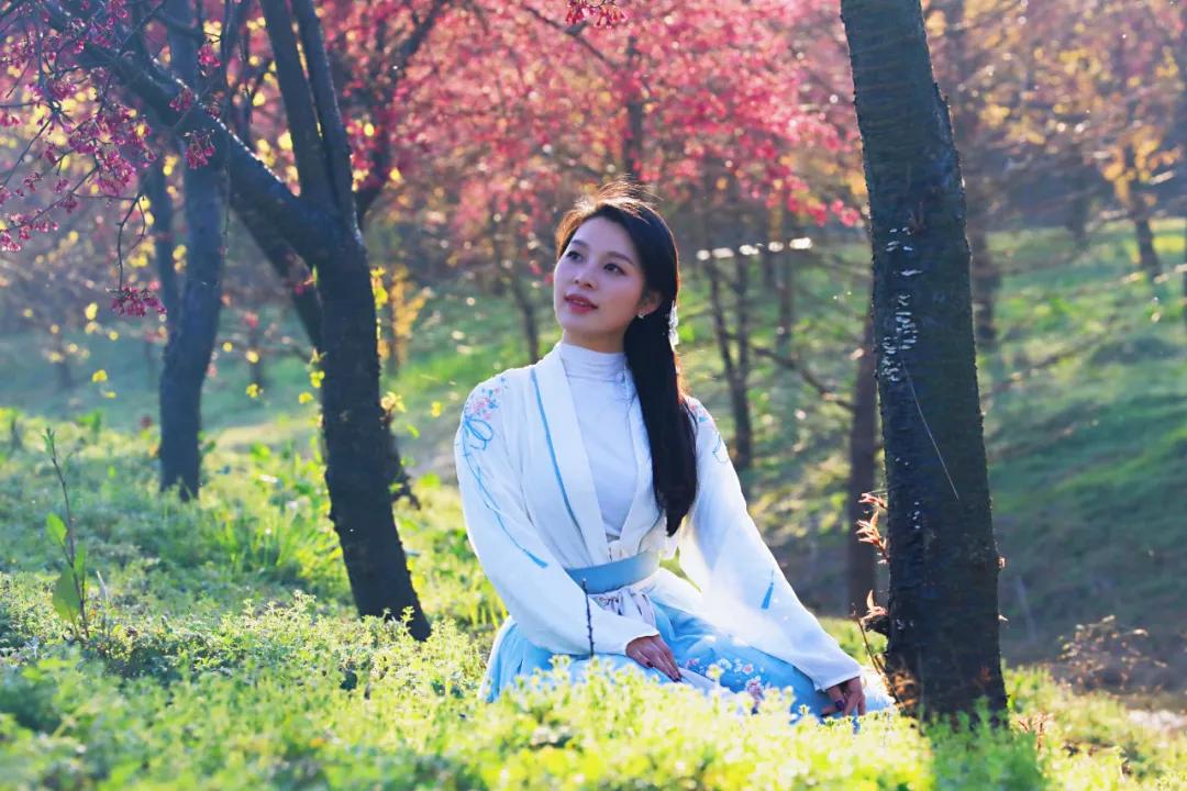 好嗨“游”（11）|这一片早樱还不去赏，错过又得等一年