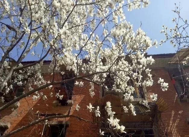 安徽合肥大学二本院校,安徽合肥工业大学