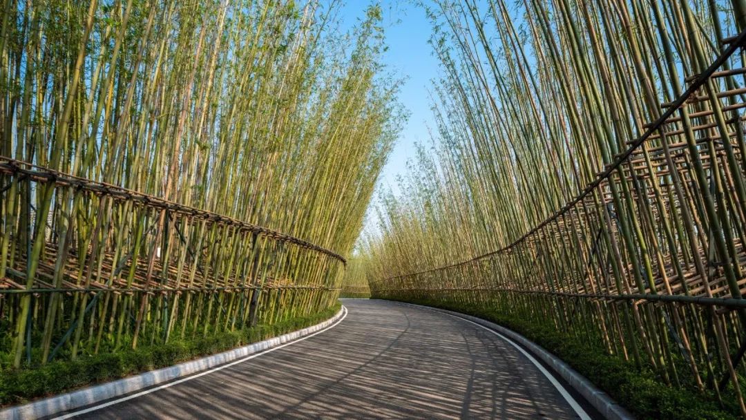 成都最具品质的楼盘,成都主城区高品质楼盘