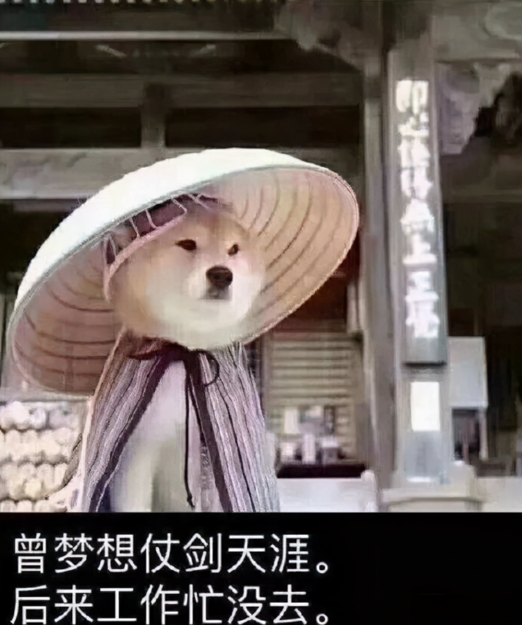 坚守八年的康复之路,坚守从医初心医生